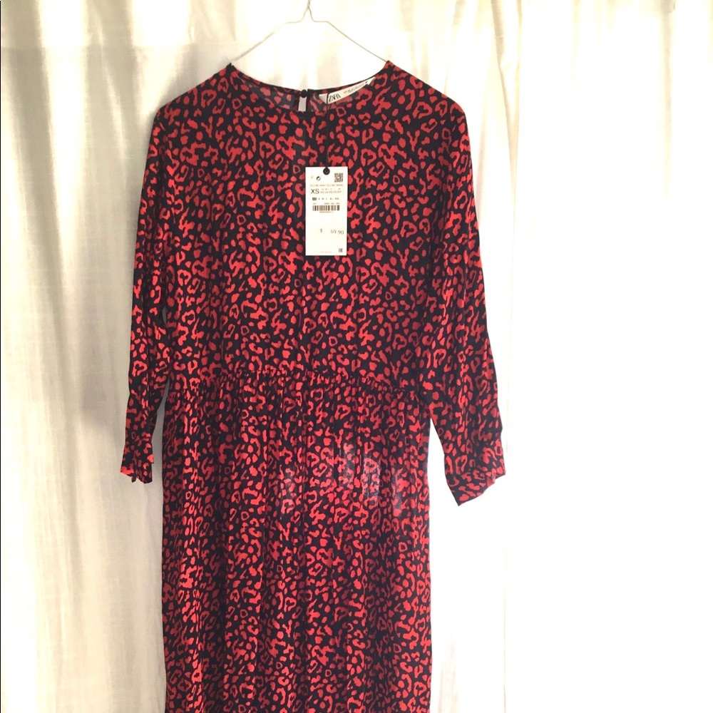 Zara Dress